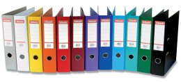 Raccoglitori a leva interamente in plastica Esselte 75 mm (11 modelli)